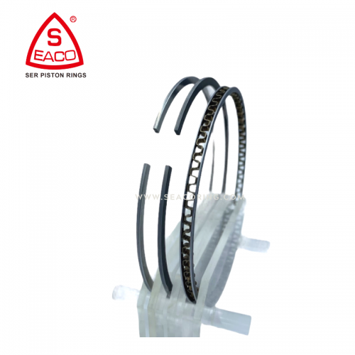 Piston Ring For BYD