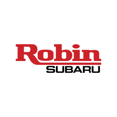 Piston Ring For ROBIN