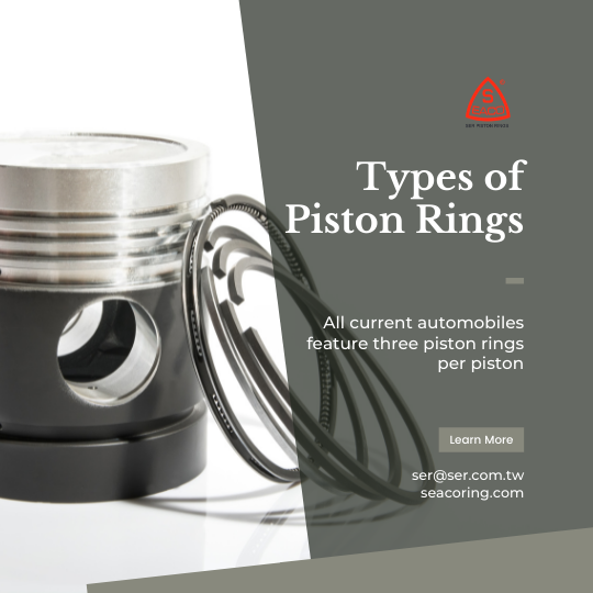 文章540_Types of Piston Rings Types of Piston Rings